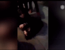 小三爆料导演视频大全集,导演视频大全集背后的惊人真相