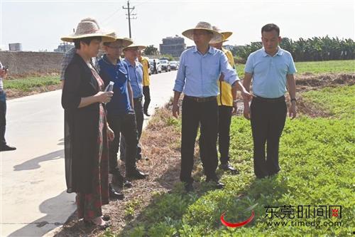 揭西今日爆料新闻视频播放,视频揭秘当地热点事件